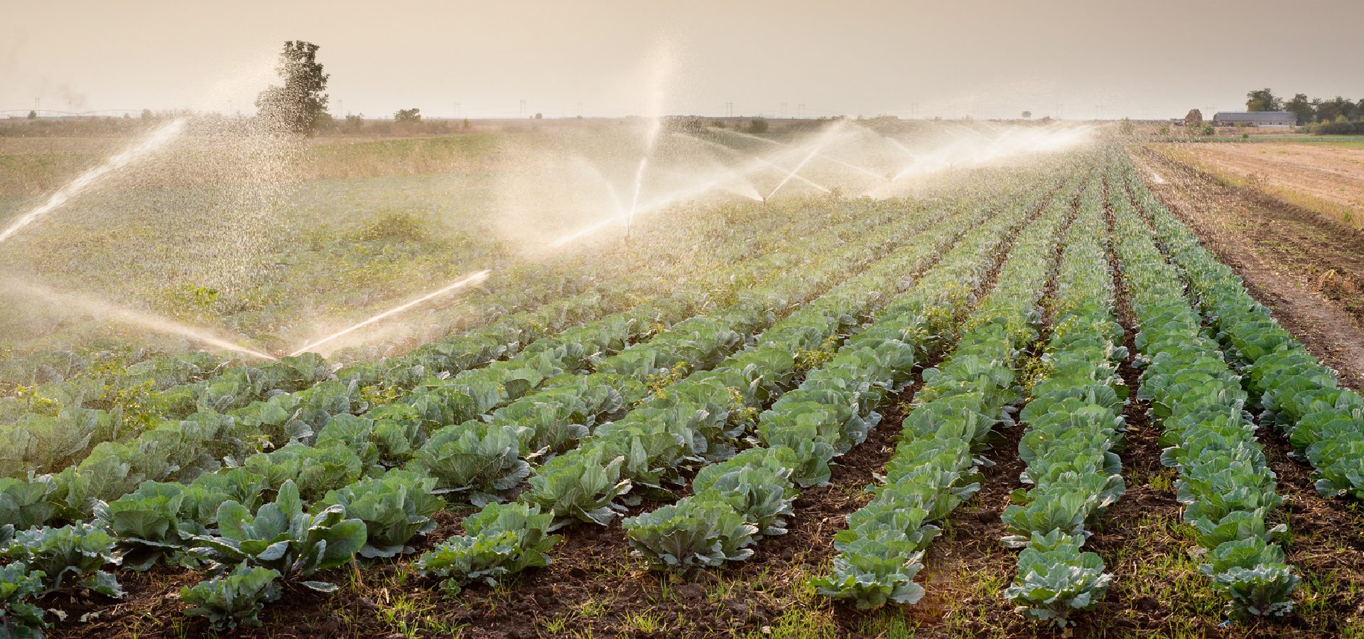 Beregnungsrohre & Bewässerungssysteme | PE-LD & PE-HD Lösungen